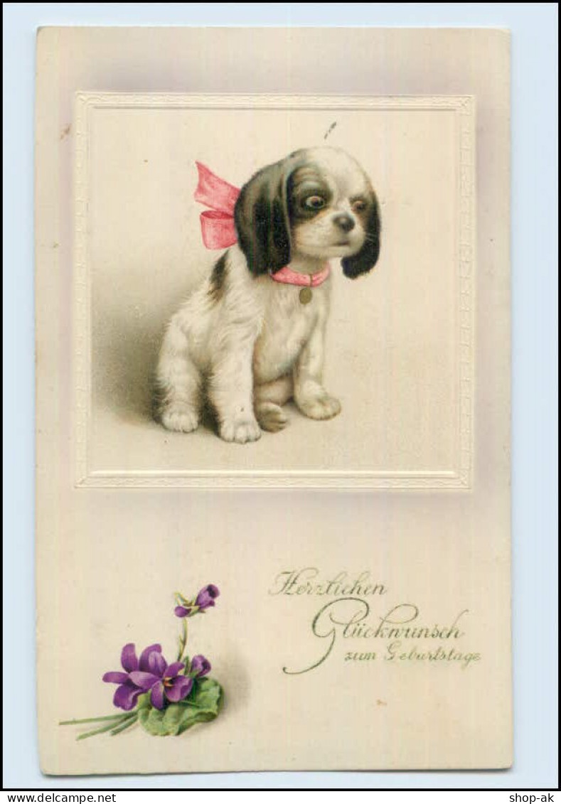Y586/ Geburtstag Kleiner Hund  LithoAK 1914 - Geburtstag