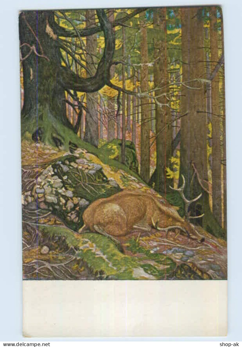 K276/ Jugend-Postkarte AK Von E.L. Hoeß   Toter Hirsch  Ca.1912 - Mailick, Alfred