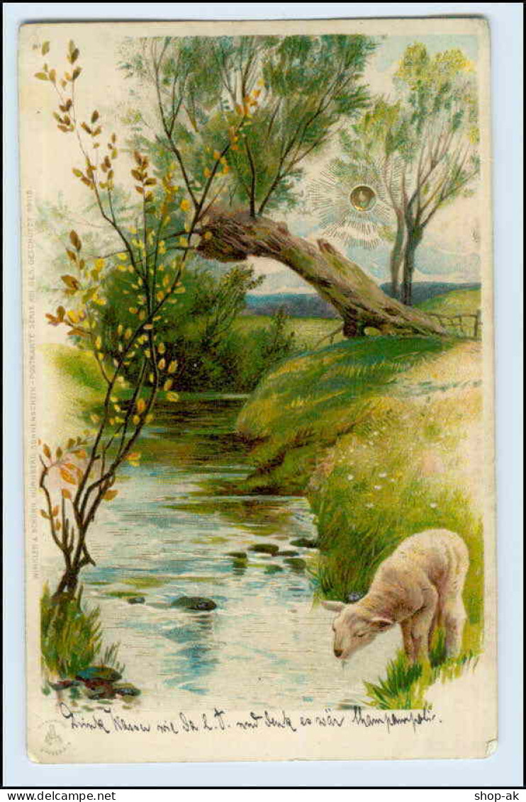 W3S86/ Sonnenschein Postkarte Litho AK 1906 + Bahnpost Mannheim - Heilbronn - Mailick, Alfred