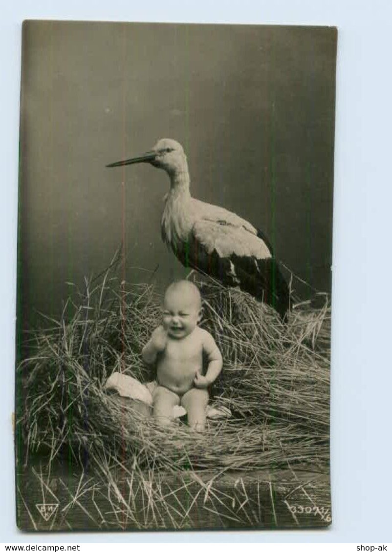 P4D29/ Storch Und Baby Foto AK 1909 - Honden