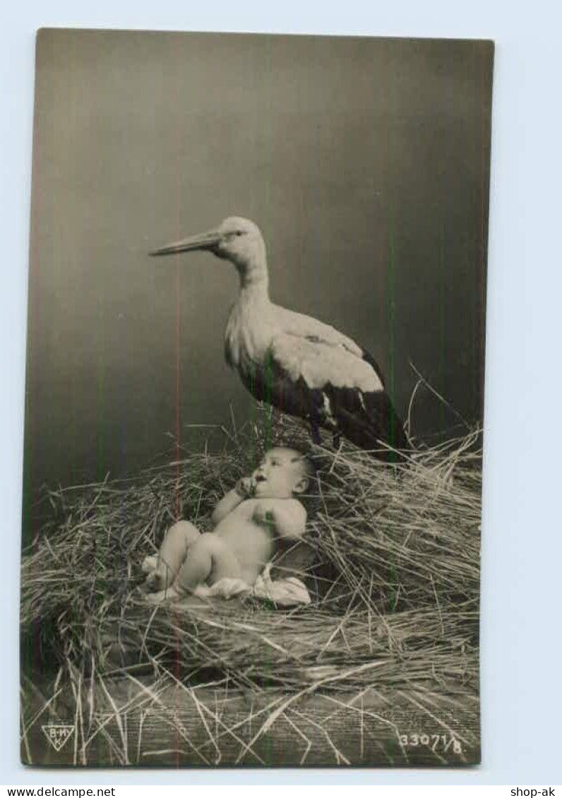 P4D30/ Storch Und Baby Foto AK 1909 - Perros