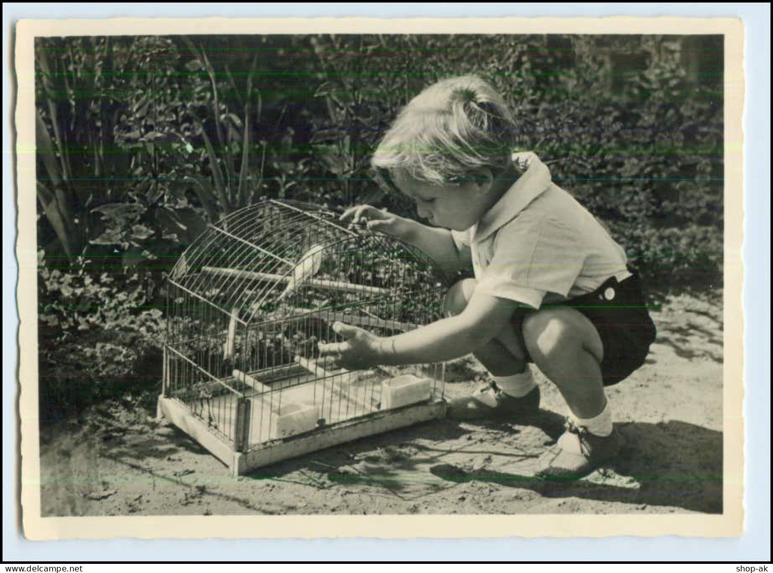 W7D96/ Kind Mit Vogelkäfig Vogel Foto AK Ca.1935  (b) - Hunde