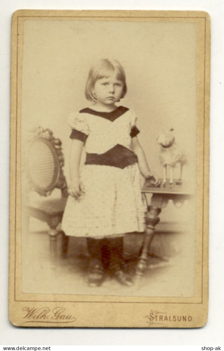 W7G30/ CDV Foto Mädchen Stofftier Atelier: Wilh. Gau, Stralsund Ca.1880 - Sonstige & Ohne Zuordnung