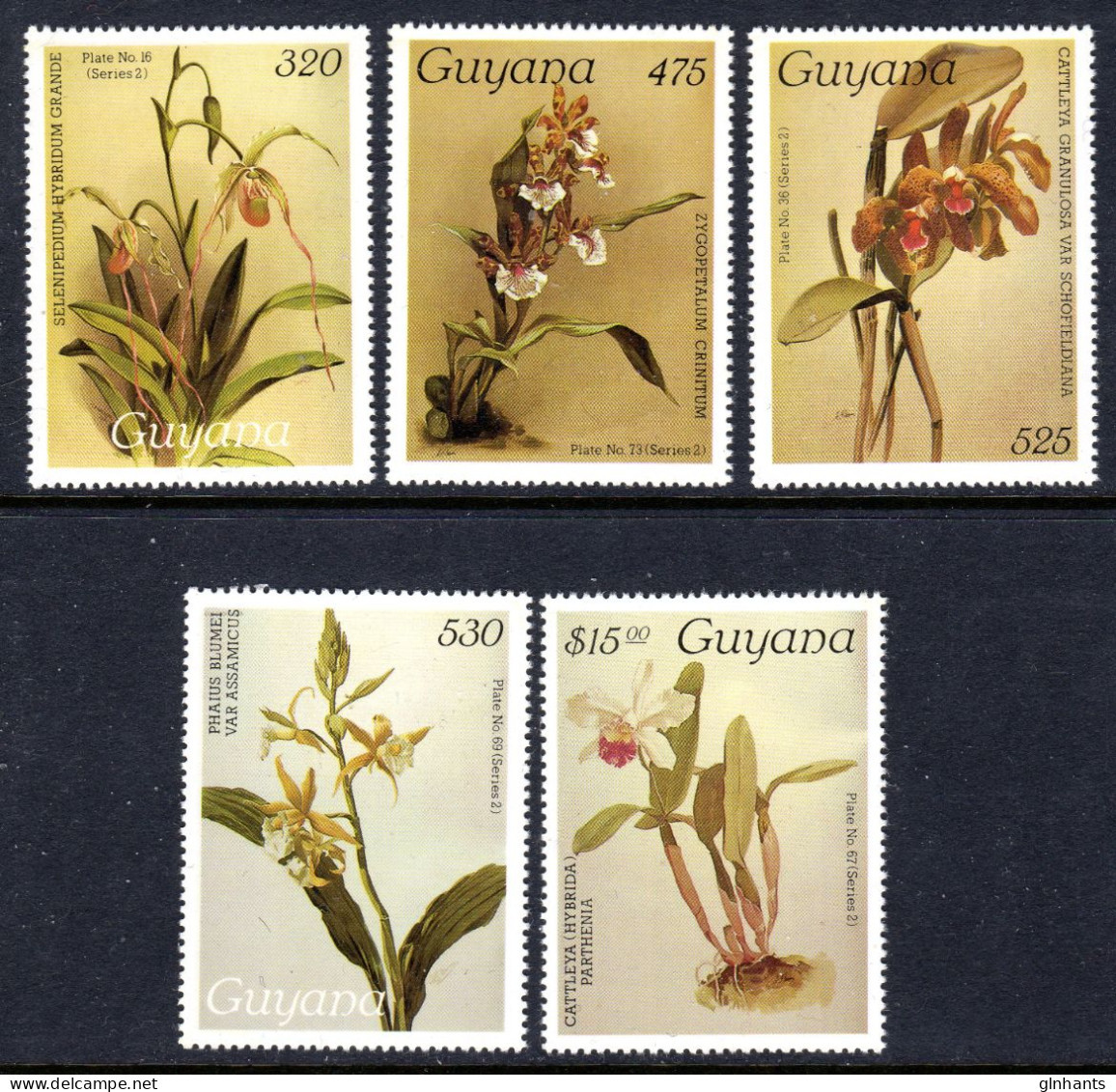 GUYANA - 1988 REICHENBACHIA ORCHIDS 29th ISSUE COMPLETE SET (5V) FIME MNH ** SG2314-2318 - Guyane (1966-...)
