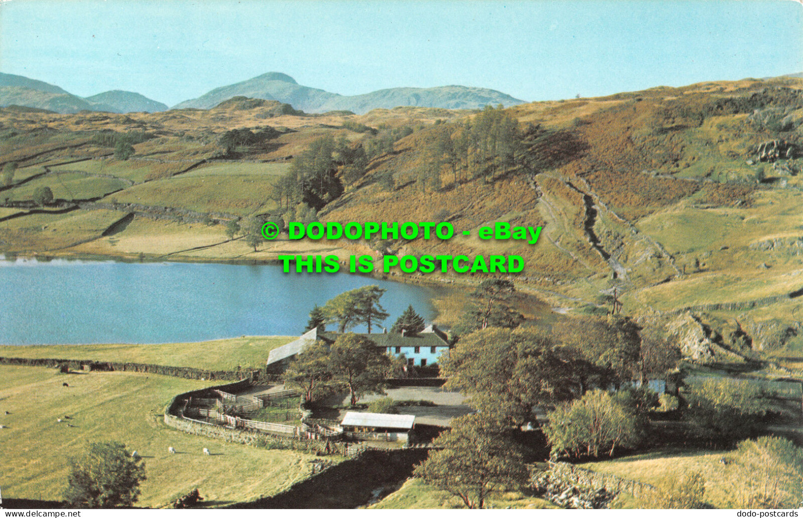 R520434 LKD. 353. Watendlath Tarn And Path To Rosthwaite. Borrowdale. Nr. Keswic - Monde