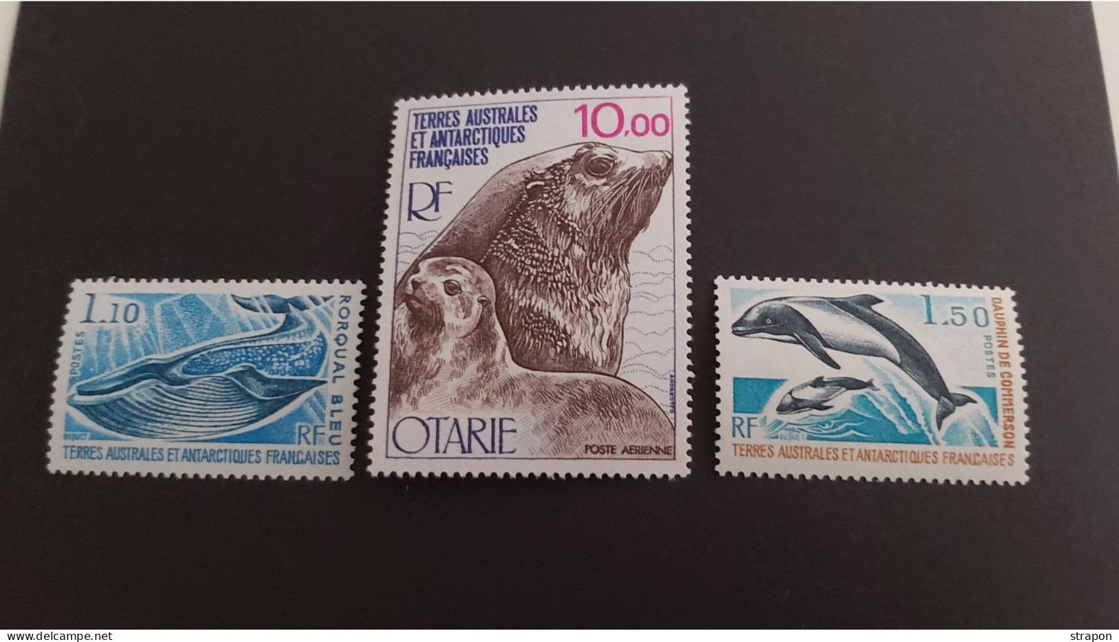 TAAF ** GRAND LUXE ++++ANIMAUX MARINS+++++ - Neufs