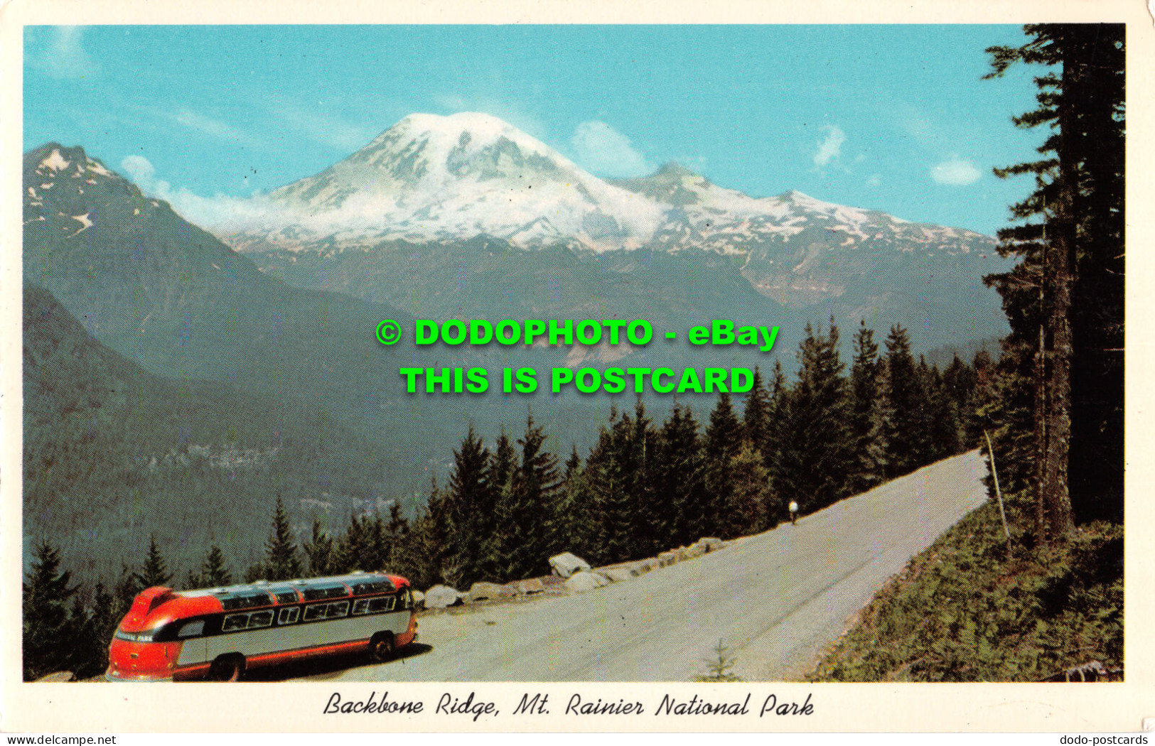 R520679 Mt. Rainier National Park. Backbone Ridge. Rainier National Park Co. Bob - Monde