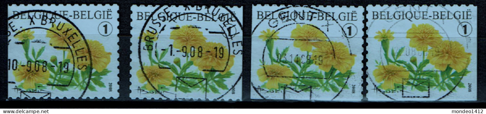 België OBP 3785 - Flowers Tagetes  Self Ahhesive From Booklet - Complete - Gebruikt