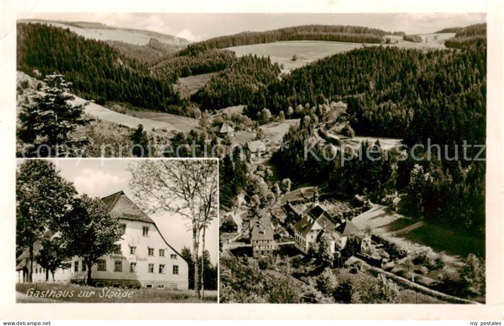 73850392 Gremmelsbach Triberg Panorama Gasthaus Zur Staude  - Triberg