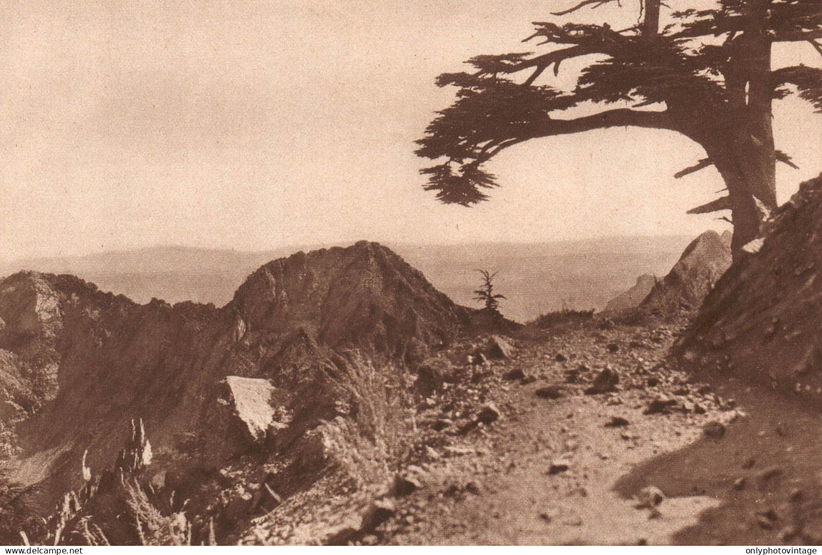 Algerie 1934, Un Chemin Sur Les Cretes Du Djurjura, Stampa, Vintage Print - Estampes & Gravures