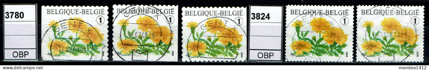 België OBP 3780+3824 - Bloemen, Fleurs, Tagetes - Usados