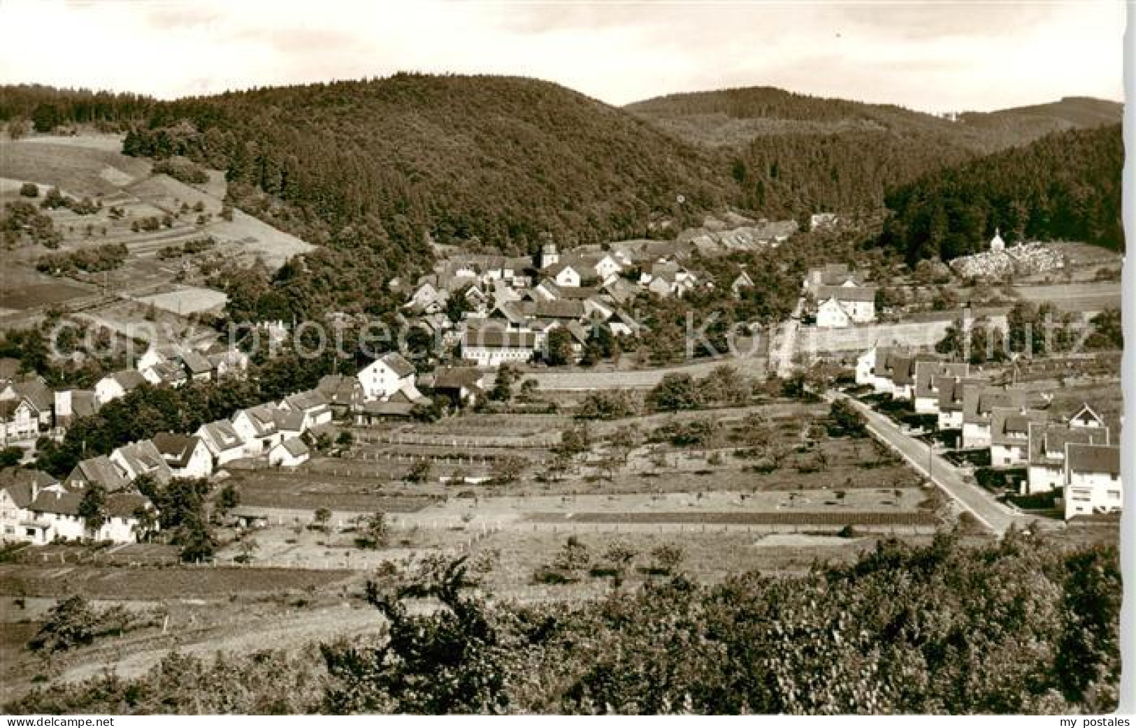 73849997 Steina Suedharz Panorama Luftkurort Sommerfrische Steina Suedharz - Bad Sachsa