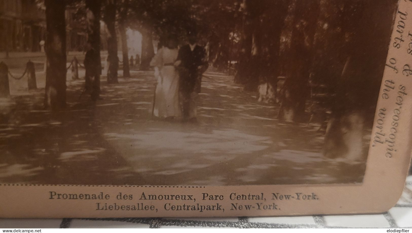 American Stereoscopes. Promenade Des Amoureux, Parc Central, New York - Stereoscopi