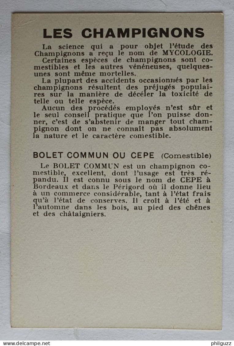 CHROMO CHAMPIGNON LES CHAMPIGNONS CEPE COMESTIBLE - Autres & Non Classés