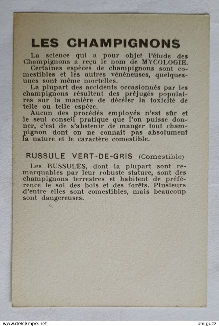 CHROMO CHAMPIGNON LES CHAMPIGNONS RUSSULE VERT-DE-GRIS - Otros & Sin Clasificación