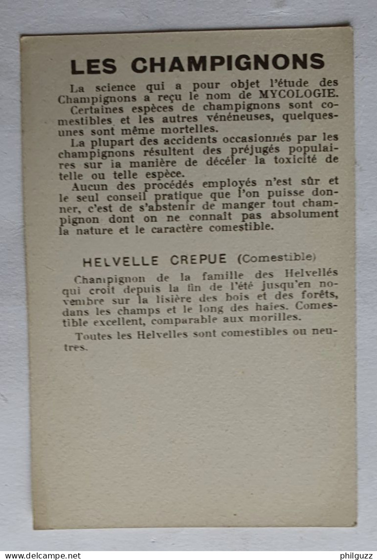 CHROMO CHAMPIGNON LES CHAMPIGNONS HELVELLE CREPUE - Autres & Non Classés