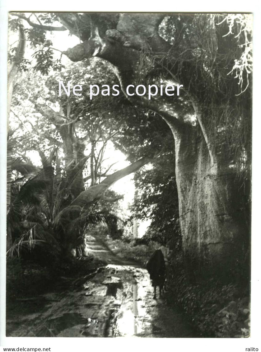 COMORES Île De MOHELI Photo 24 X 18 Cm Par Victor Borlandelli Vers 1960 - Orte