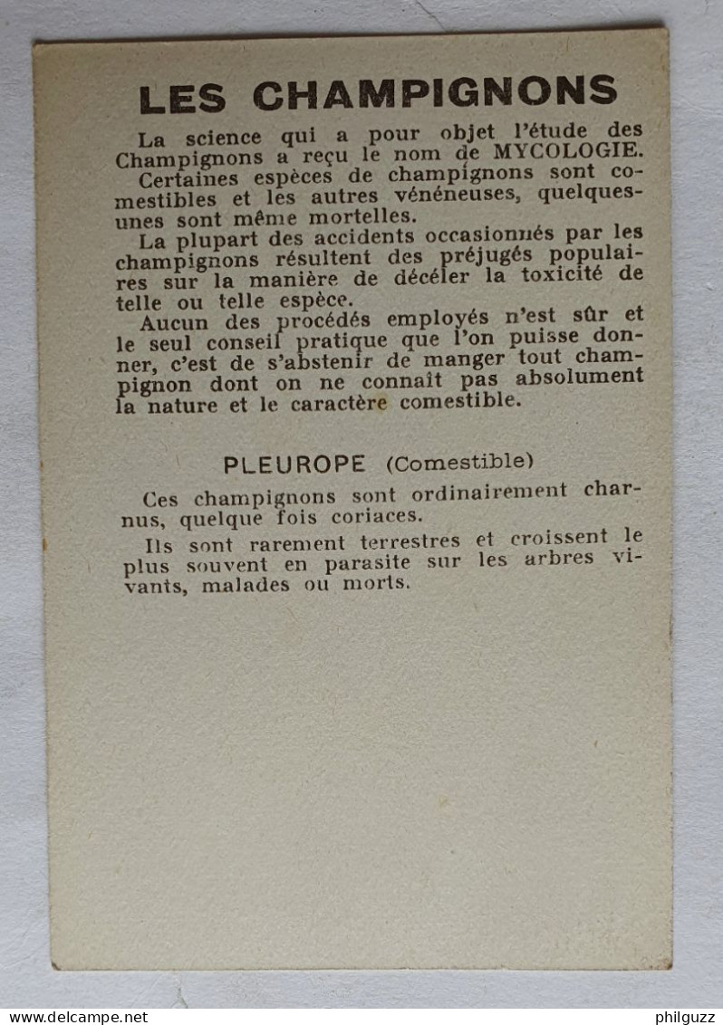 CHROMO CHAMPIGNON LES CHAMPIGNONS PLEUROTE EN COQUILLE - Otros & Sin Clasificación