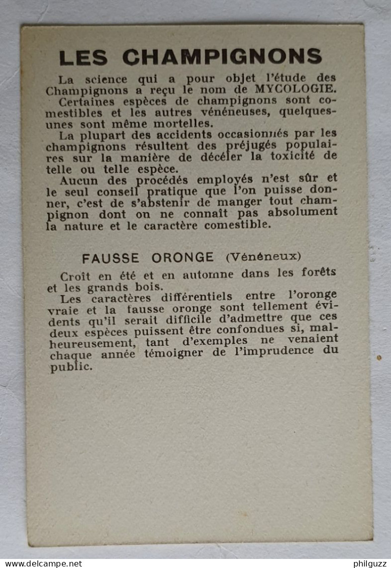 CHROMO CHAMPIGNON LES CHAMPIGNONS FAUSSE ORONGE - Autres & Non Classés