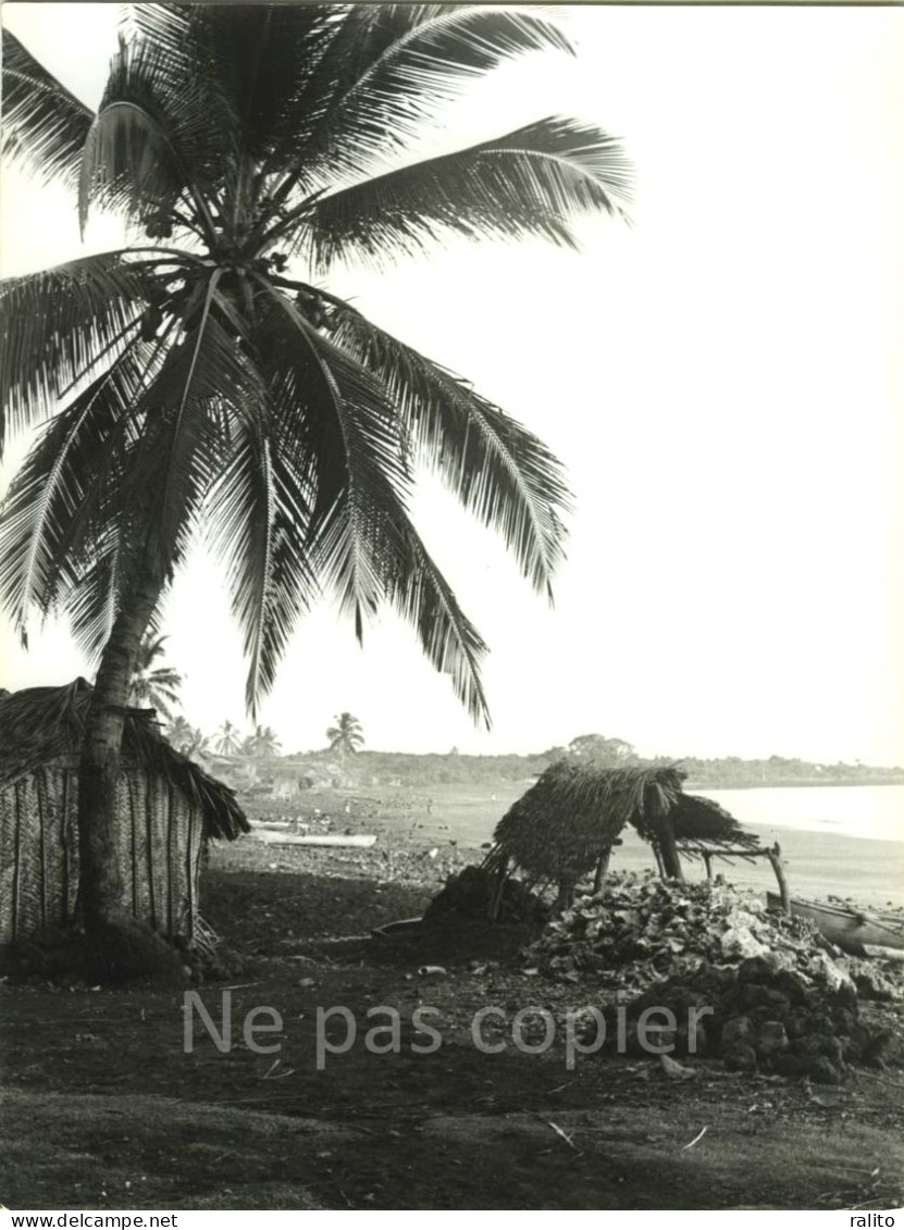 COMORES Île De MOHELI Photo 24 X 18 Cm Par Victor Borlandelli Vers 1960 - Orte