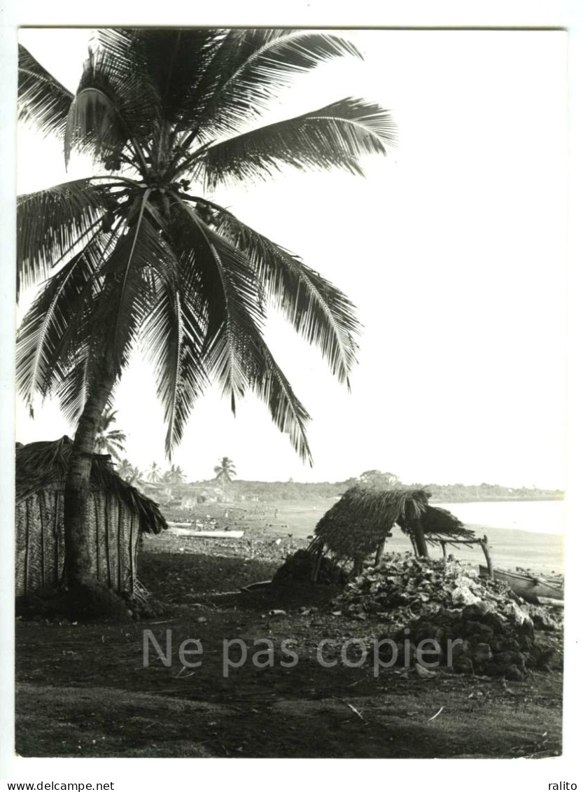 COMORES Île De MOHELI Photo 24 X 18 Cm Par Victor Borlandelli Vers 1960 - Places