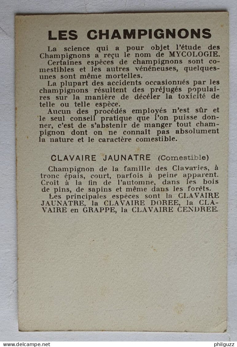 CHROMO CHAMPIGNON LES CHAMPIGNONS CALVAIRE JAUNATRE - Altri & Non Classificati