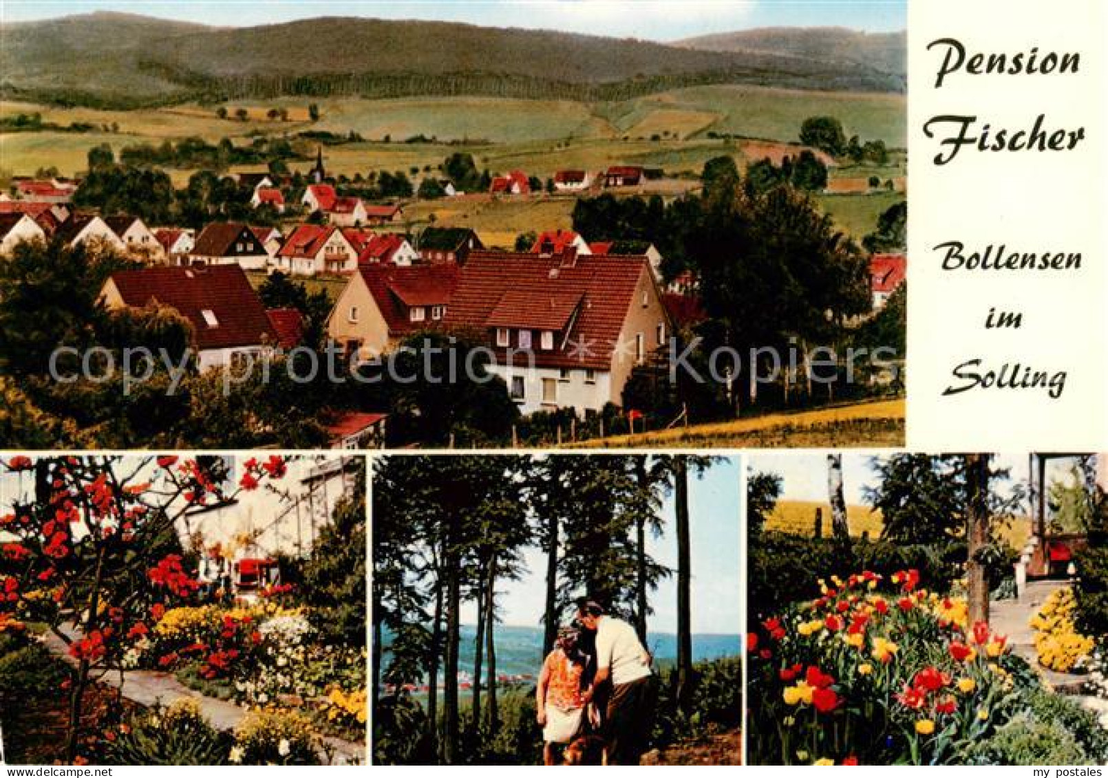 73849477 Bollensen Solling Pension Gertrud Fischer Panorama Bollensen Solling - Uslar