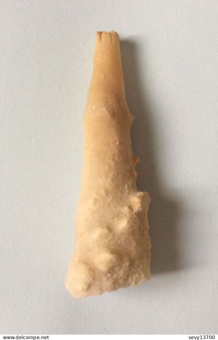 Stalactite 11 Grammes 52 Mm X 17 Mm Origine France - Minéraux