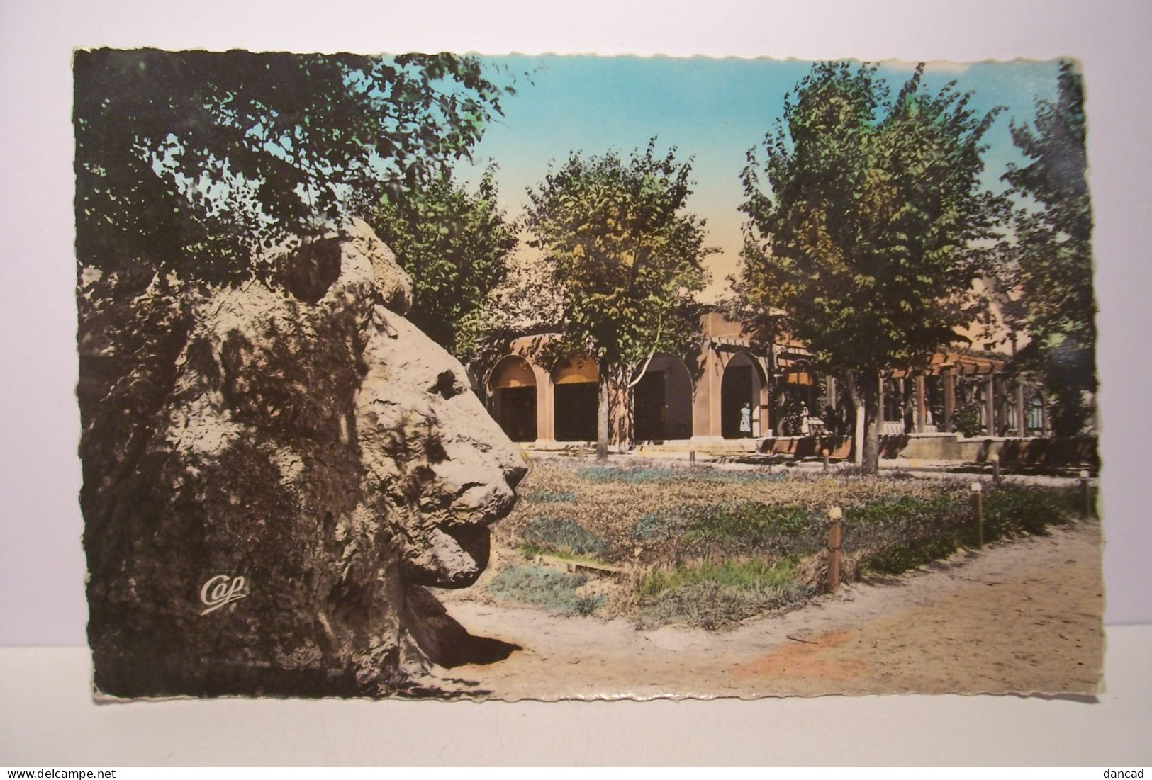 IFRANE   -  Le Lion Et L'Hotel Felix  -  ( Pas De Reflet Sur L'original ) - Other & Unclassified