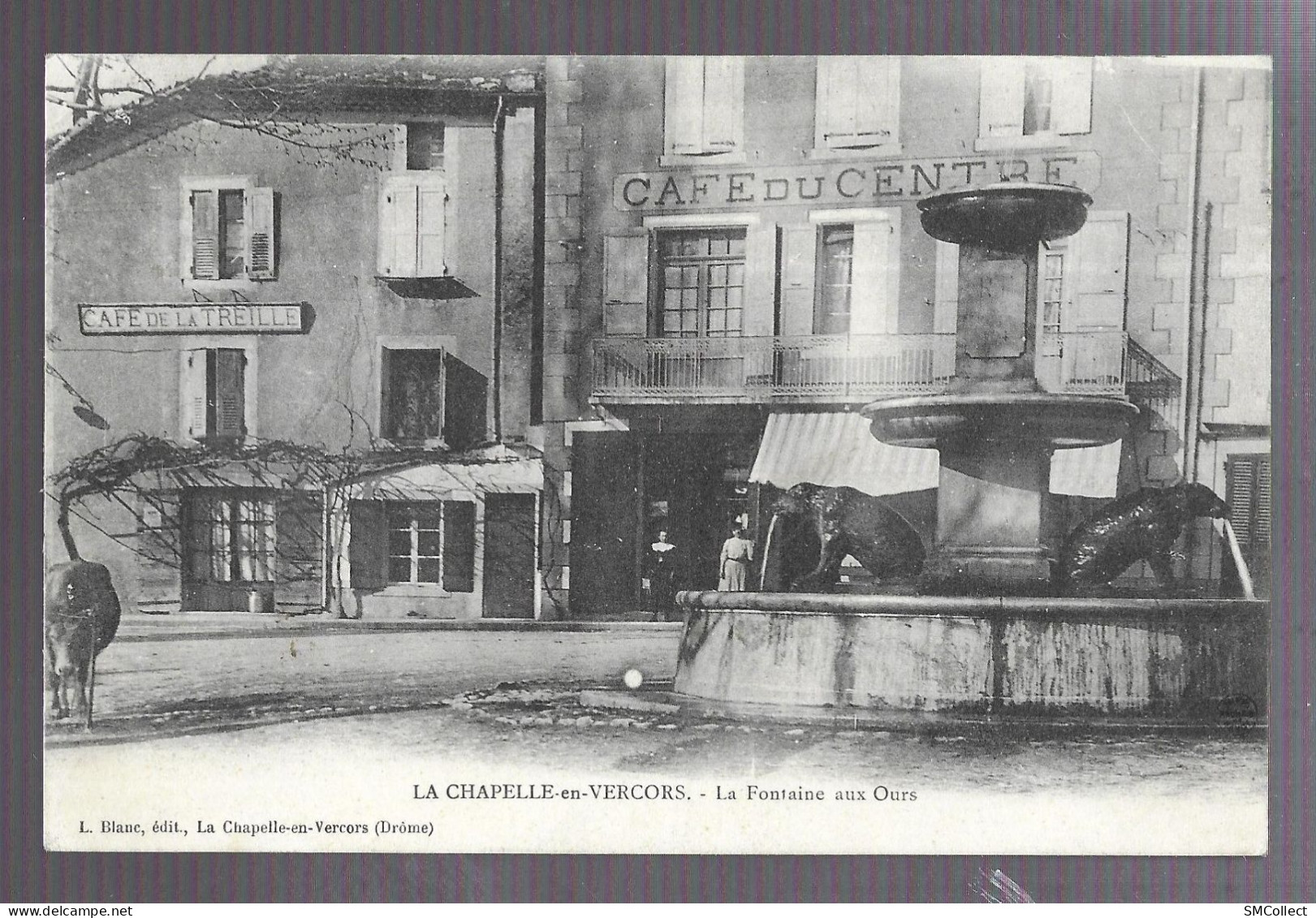 La Chapelle En Vercors, La Fontaine Aux Ours (café Du Centre, Café De La Treille). Carte Et Plan Inédits (A17p3) - Autres & Non Classés