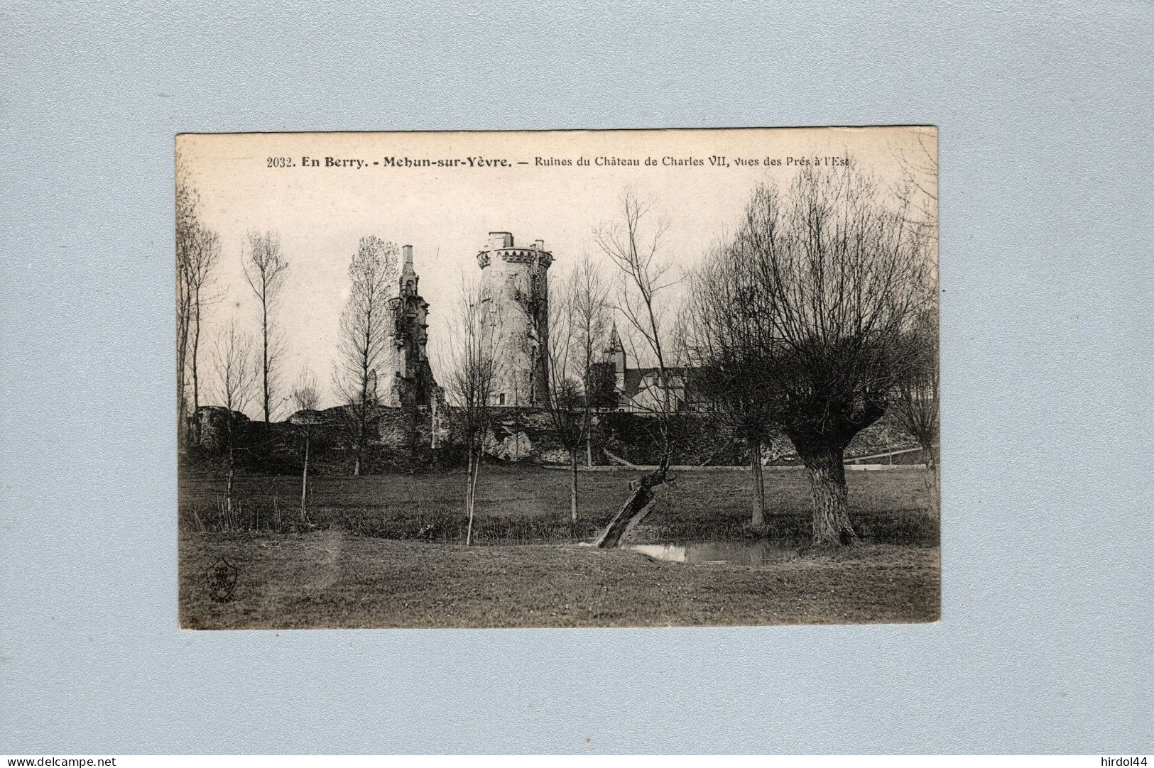 Mehun-sur-Yèvre (18) : Ruines Du Chateau De Charles VII, Vues Des Prés à L'Est - Mehun-sur-Yèvre