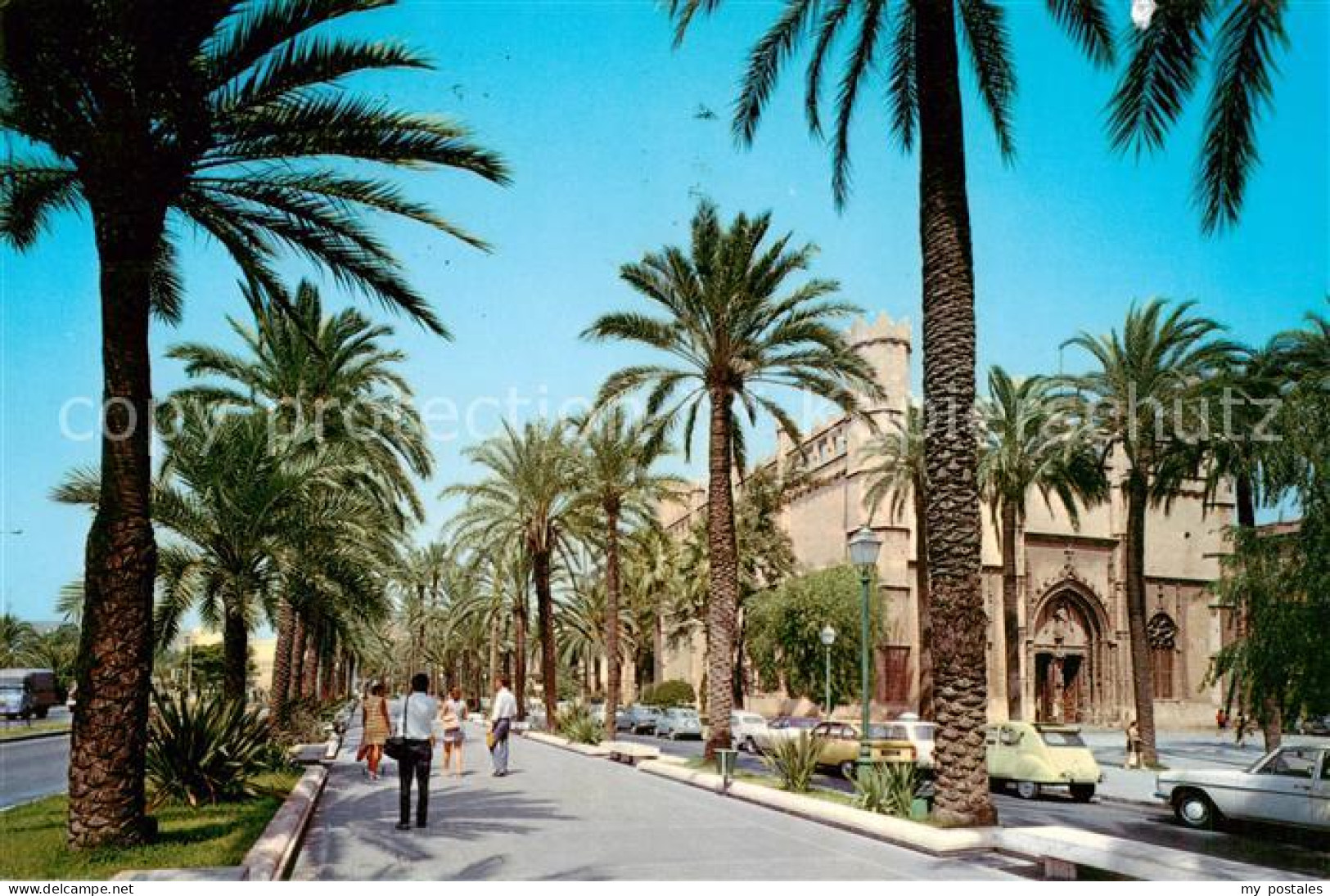 73826195 Palma De Mallorca ES Paseo Sagrera La Lonja  - Sonstige & Ohne Zuordnung