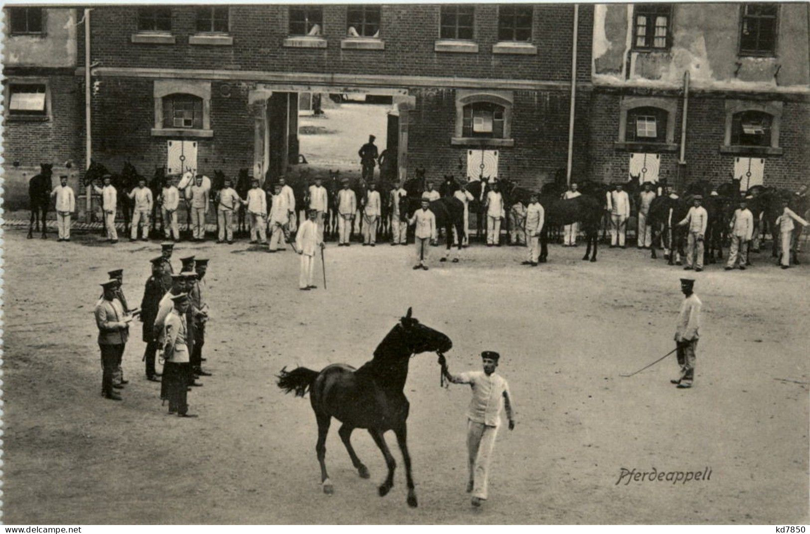 Pferdeappell - Guerre 1914-18