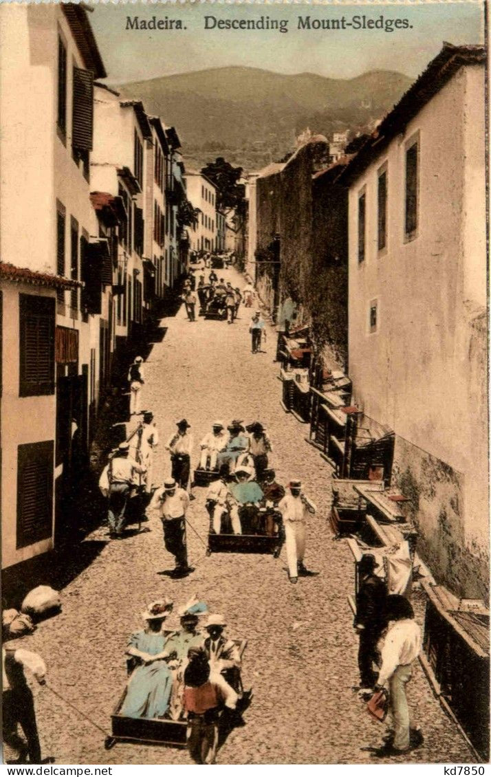 Madeira - Descending Mount Sledges - Madeira