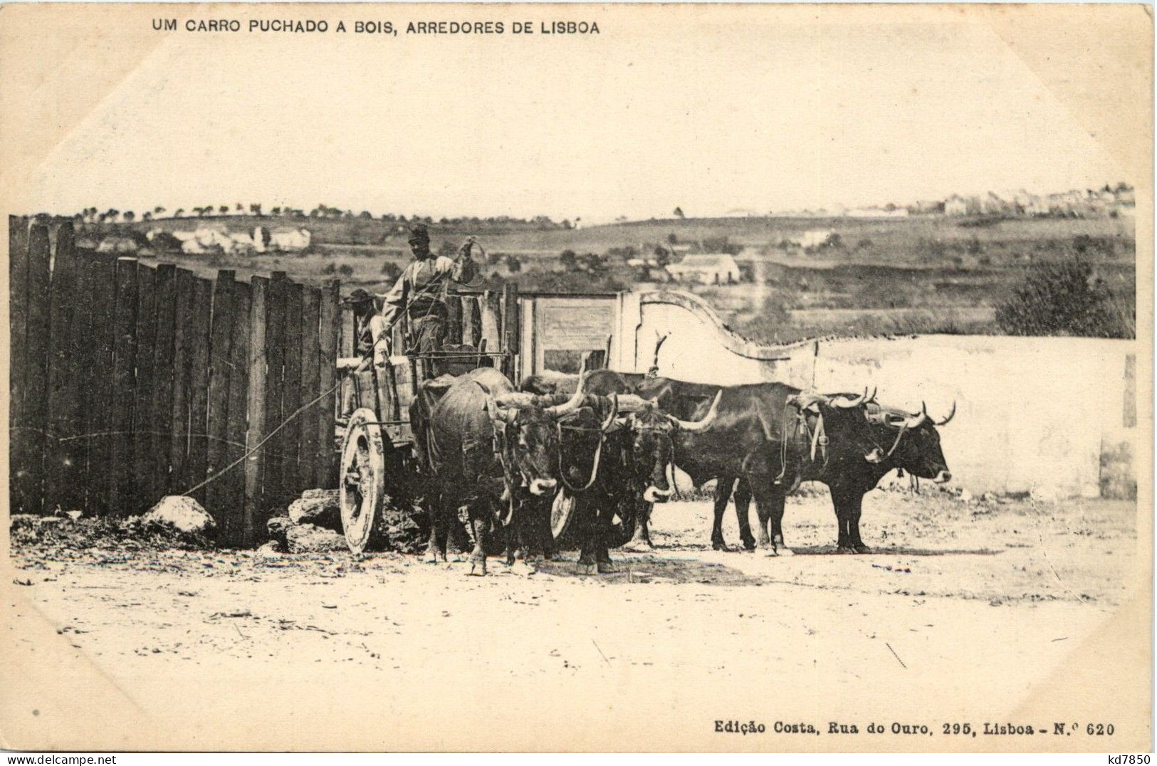 Um Carro Puchado A Bois, Arredores De Lisboa - Lisboa