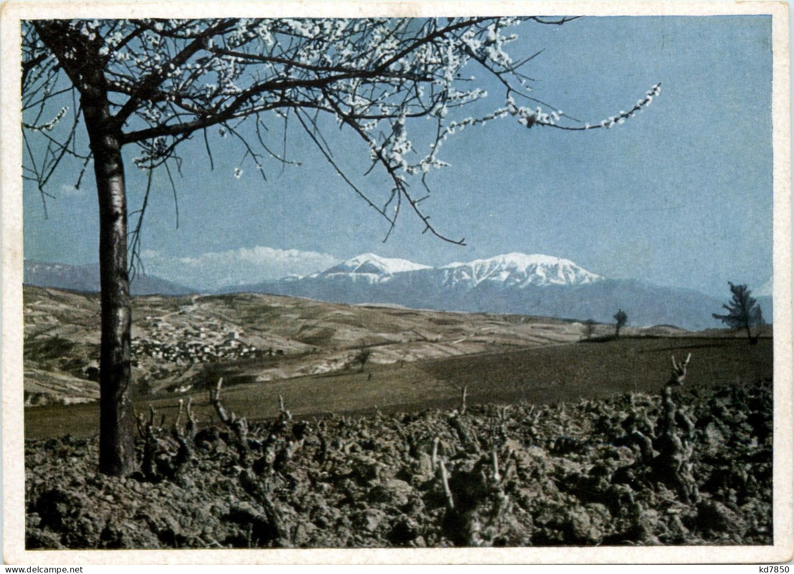 Vorfrühling In Südbulgarien - Bulgarien