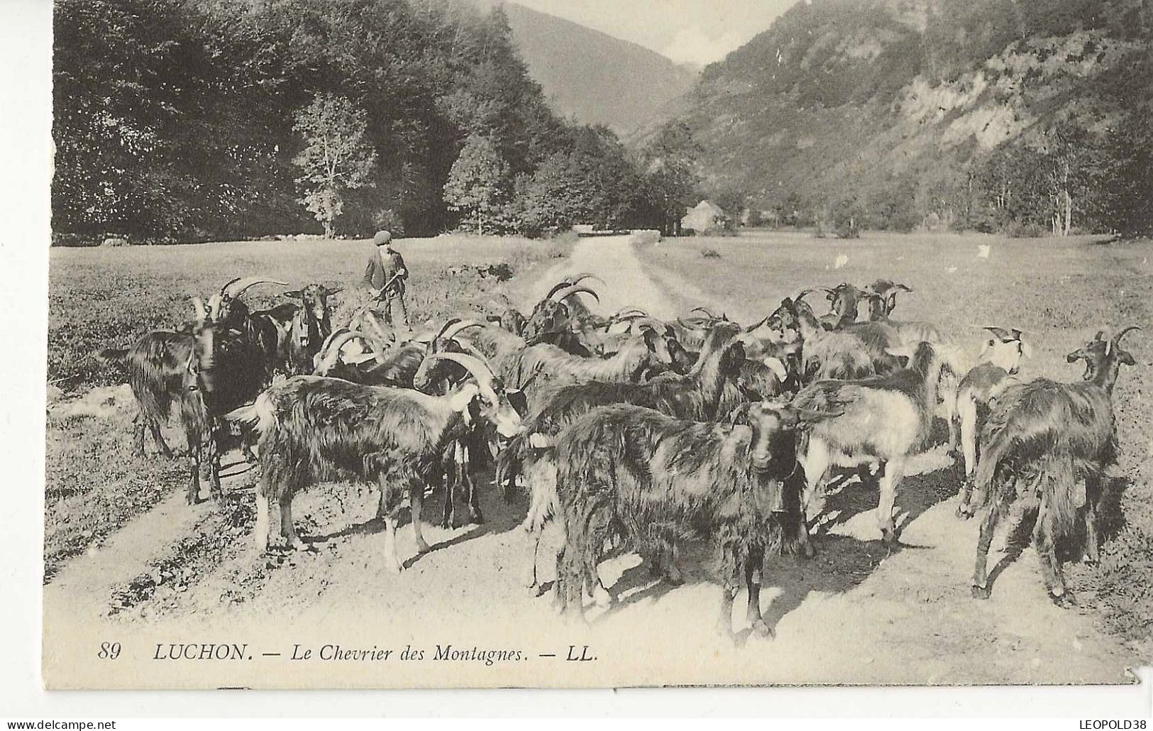 LUCHON Le Chevrier Des Montagnes - Luchon