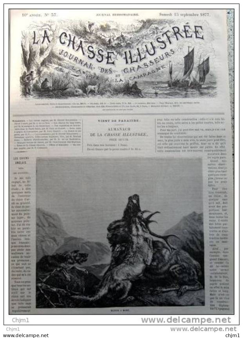 Tödlich Verwundeter Hirsch - Cerf - Blessé à Mort - Alter Stich 1877 - Gravure - Estampes & Gravures