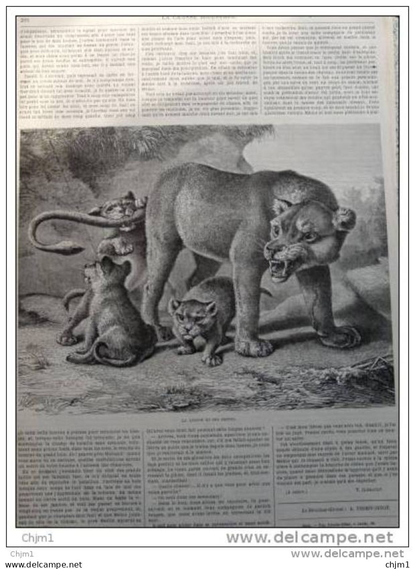 Löwin Mit Jungen - Lionne Et Ses Petits  - Gravure - Page Original 1877 - Estampes & Gravures