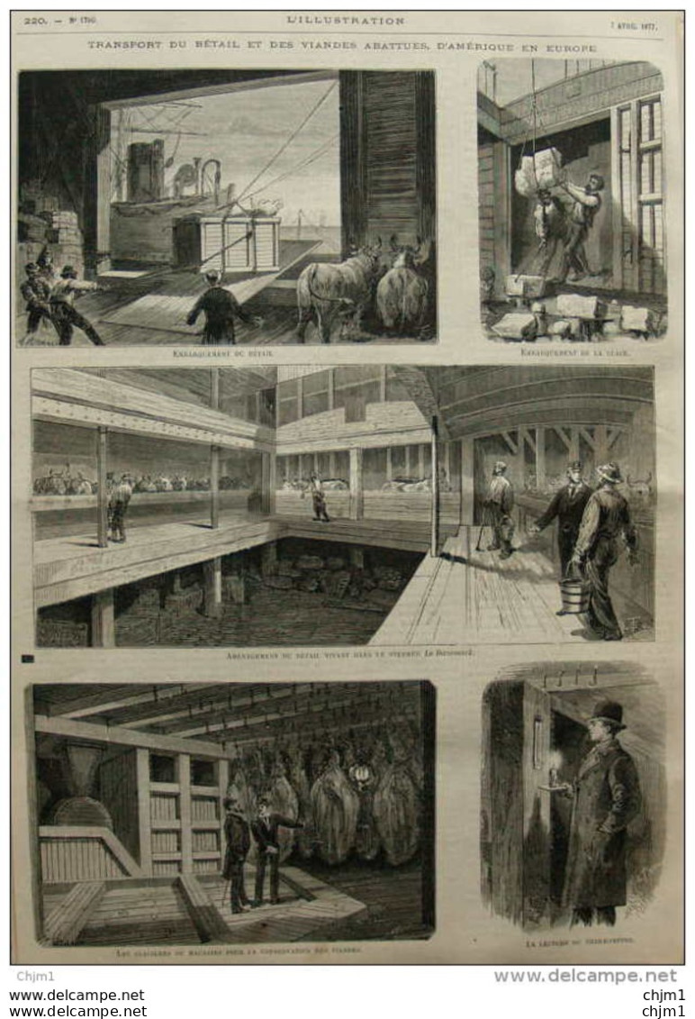 Transport Du Bétail Et De Viandes Abattues, D'Amérique En Europe - Les Glacieres  - Page Original - 1877 - Documents Historiques