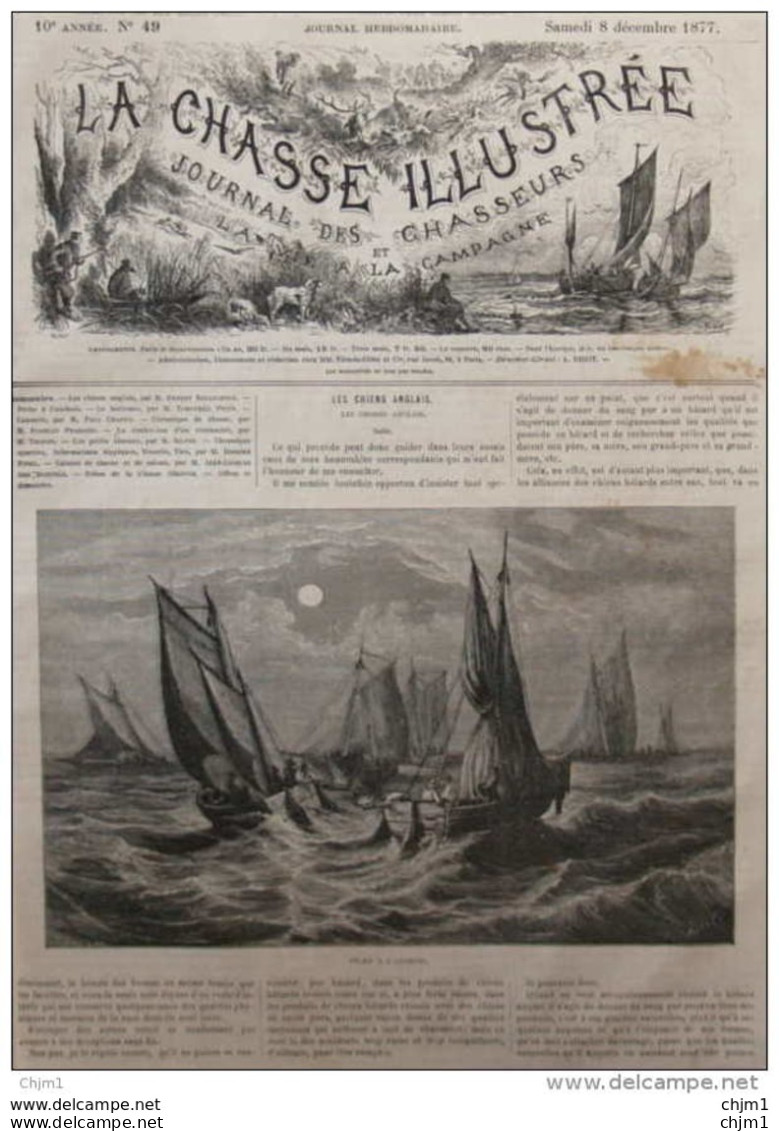 Pêche à L'Anchois - Page Original 1877 - Documents Historiques