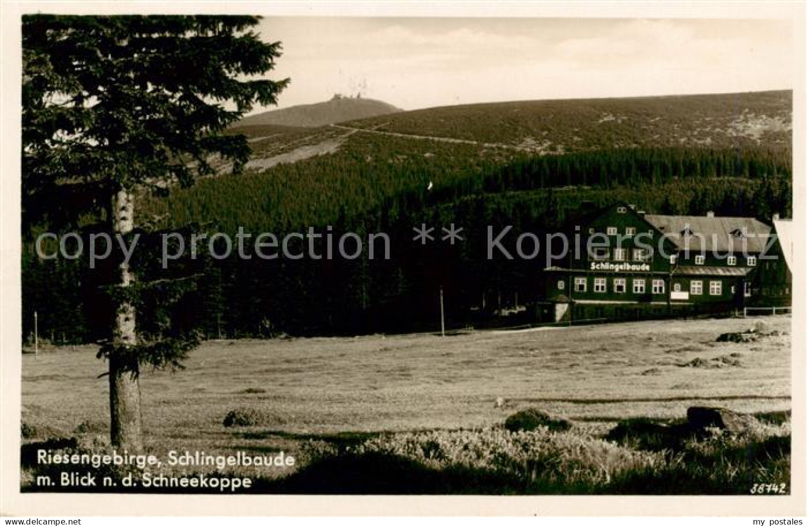 73823705 Riesengebirge_Krkonose_Karkonosze Schlingelbaude Mit Schneekoppenblick - Tschechische Republik