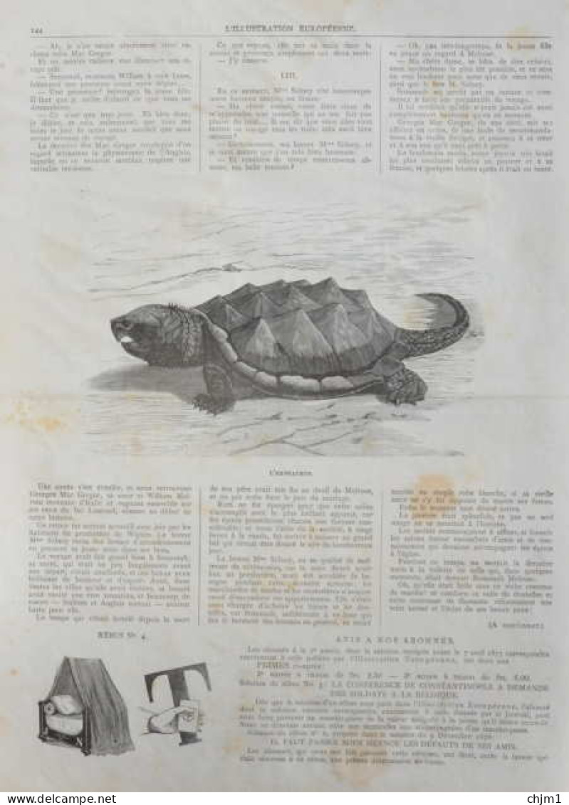 L'Emysaurus - Page Original 1877 - Historical Documents