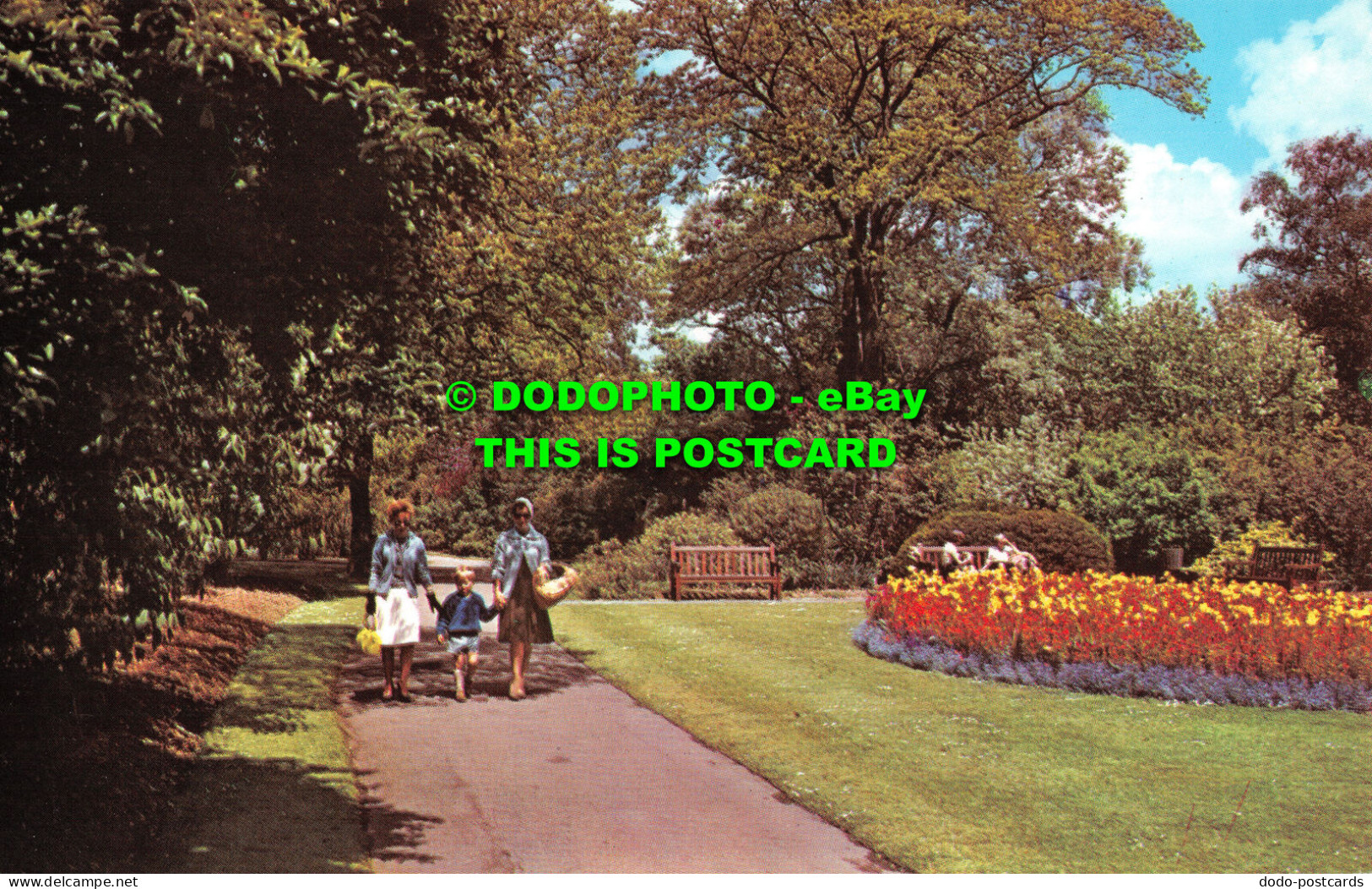 R520995 Cardiff. Roath Park. Postcard - Welt