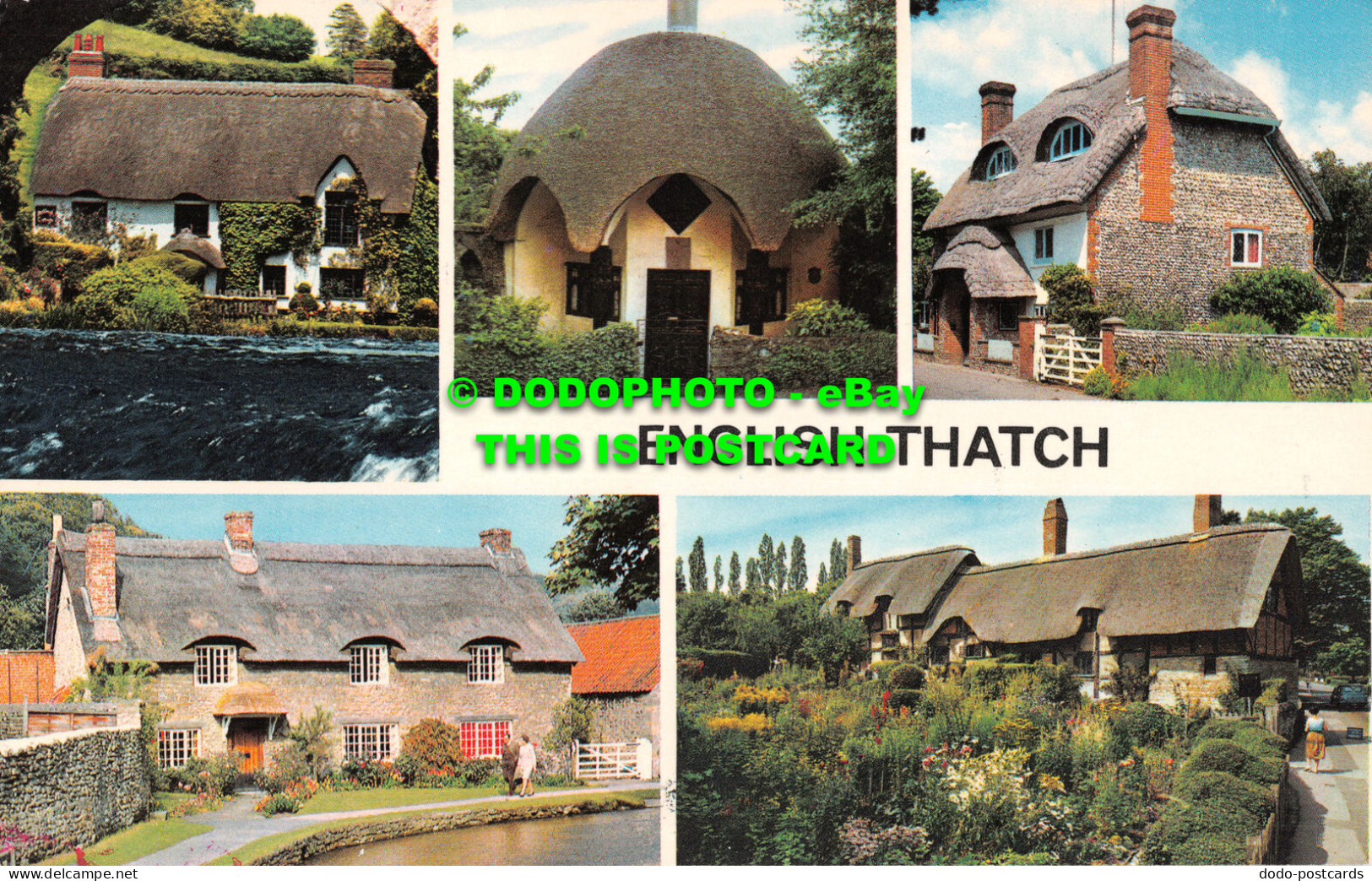 R521562 English Thatch. PLC5446. Colourmaster International. Precision. Multi Vi - Monde