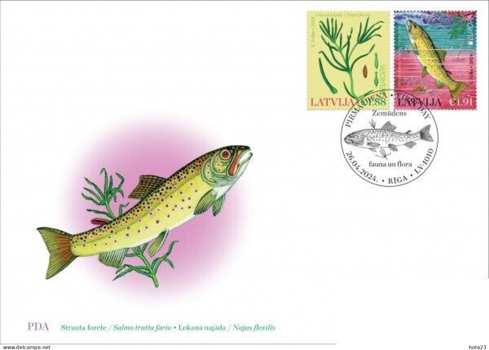 (!) Latvia Lettland Lettonie 2024 Europa CEPT Underwater Flora And Fauna Fish Plant FDC - Lettonia