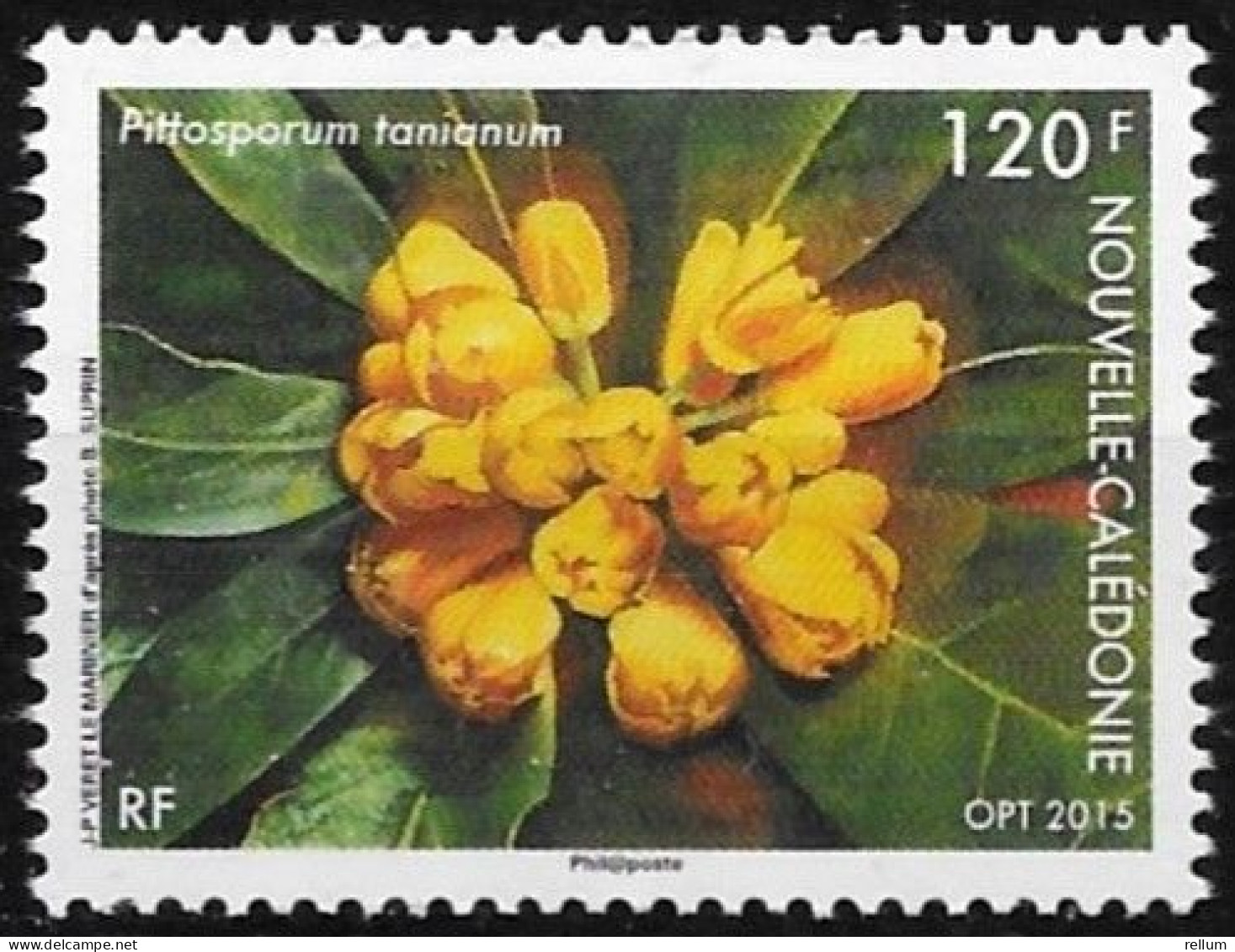 Nouvelle Calédonie 2015 - Yvert Et Tellier Nr. 1236 - Michel Nr. 1665 ** - Unused Stamps