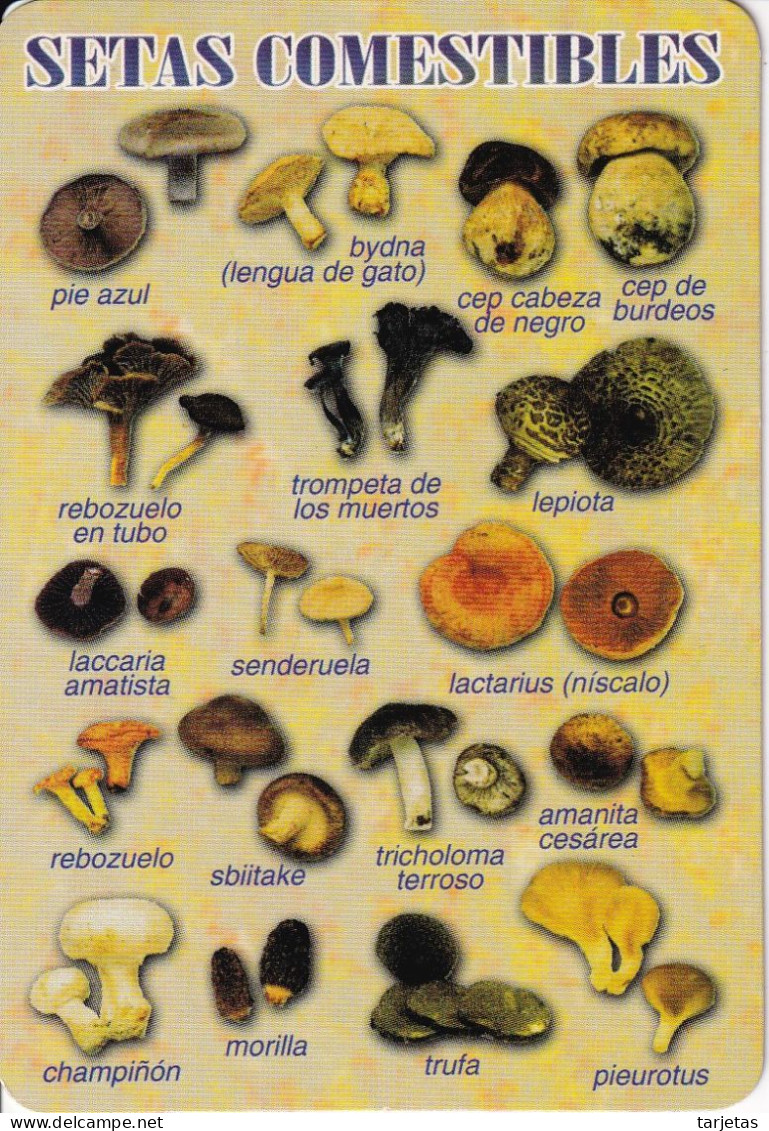 CALENDARIO DEL ESPAÑA DEL AÑO 2012 DE UNAS SETAS (CALENDRIER-CALENDAR) SETA-MUSHROOM-HONGO - Klein Formaat: 2001-...