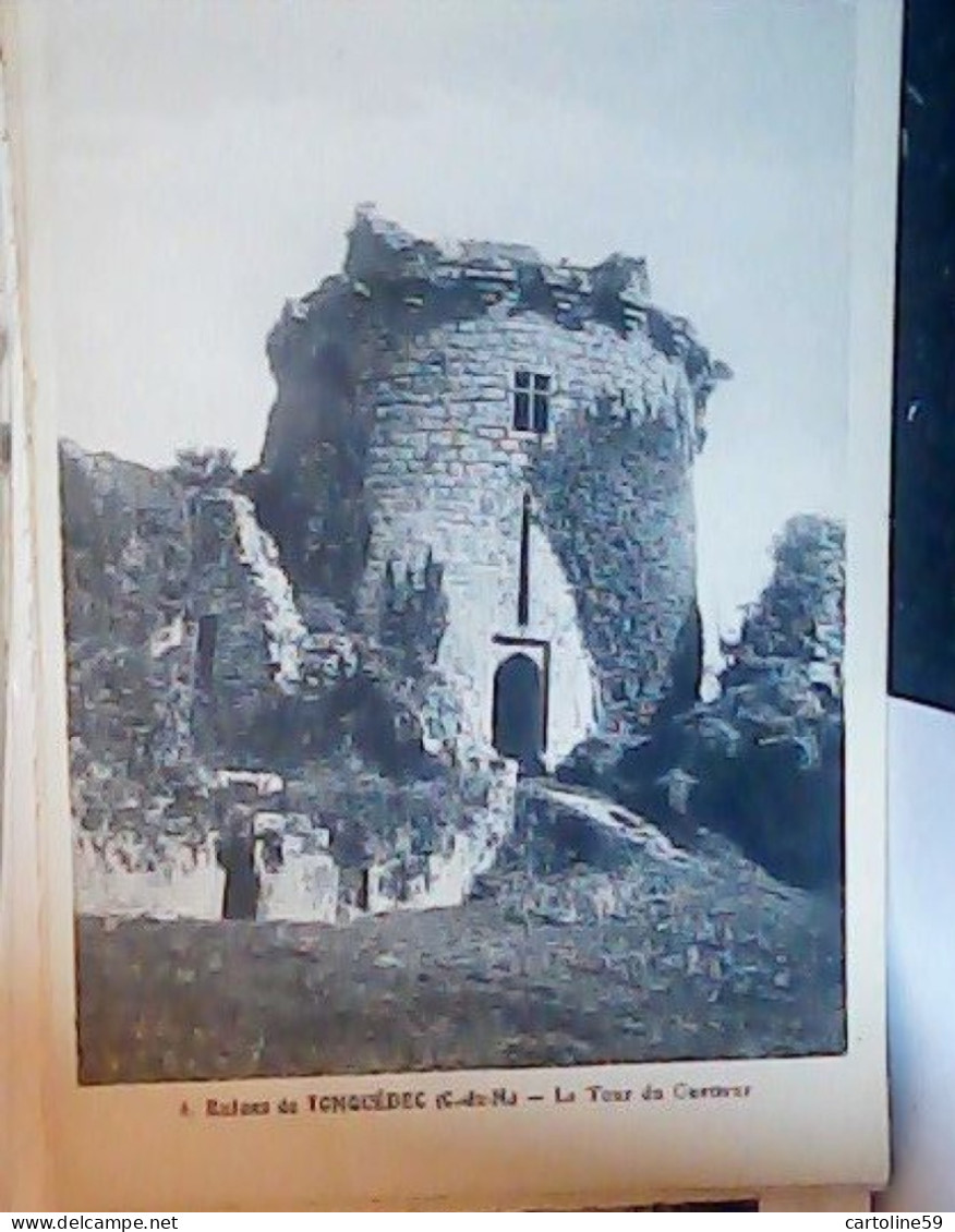 FRANCE 22 , TONQUÉDEC , Ruines , La Tour Du Guetteur  N1920 JV6273 - Tonquédec