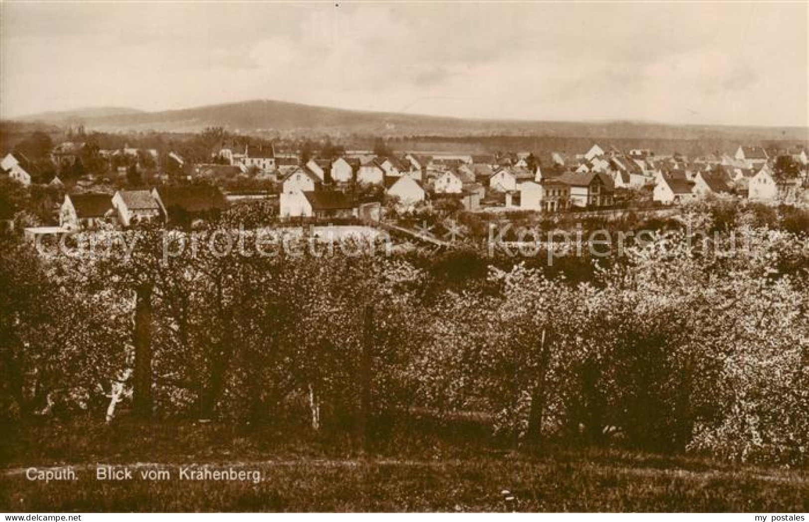 73822124 Caputh Schwielowsee Blick Vom Kraehenberg  - Ferch